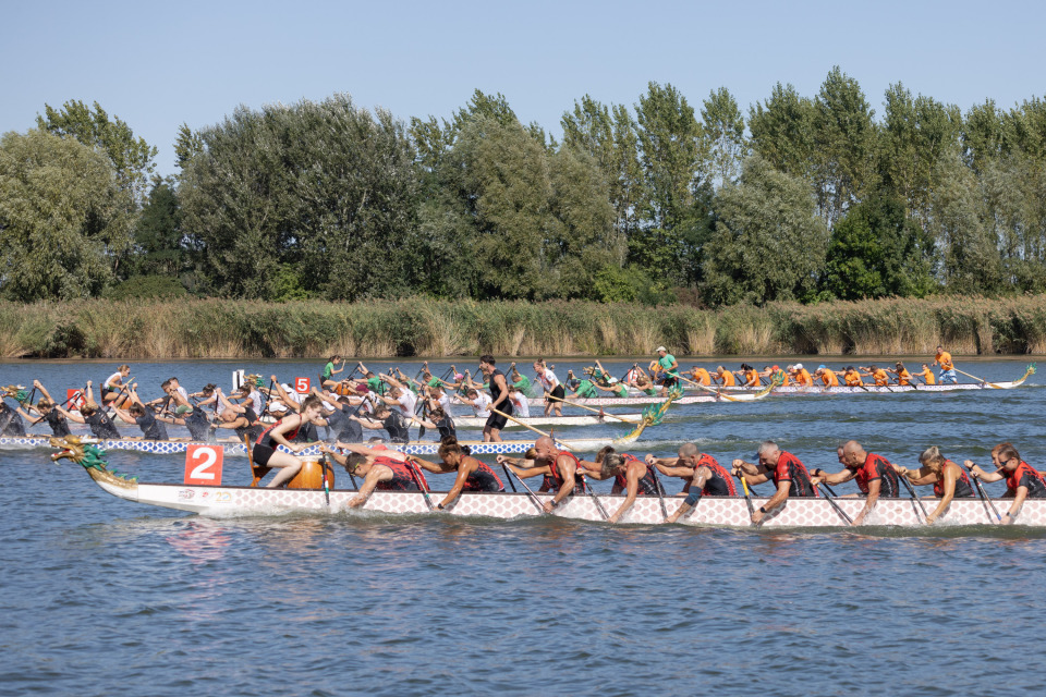 jJUDT, 匈牙利全国